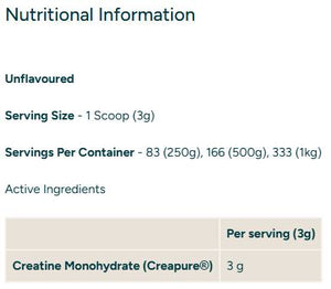 THE Creatine (Creapure®), 500g